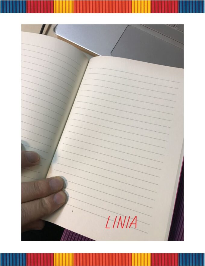 sklep rollsa linia artykuły
