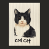rollsy_koty_sklep cool cat