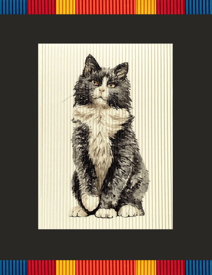 rollsy_koty_sklep2 kot puchaty