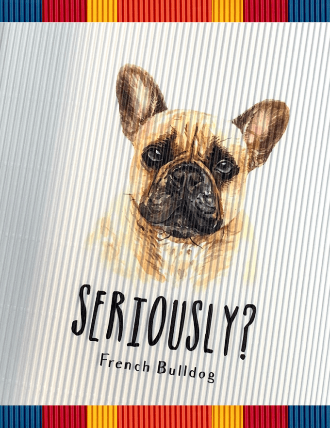 rollsy_psy_sklep4 French Bulldog