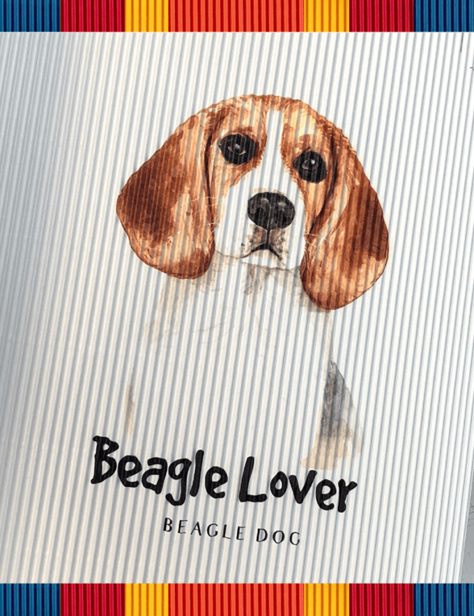 rollsy_psy_sklep5 beagle dog