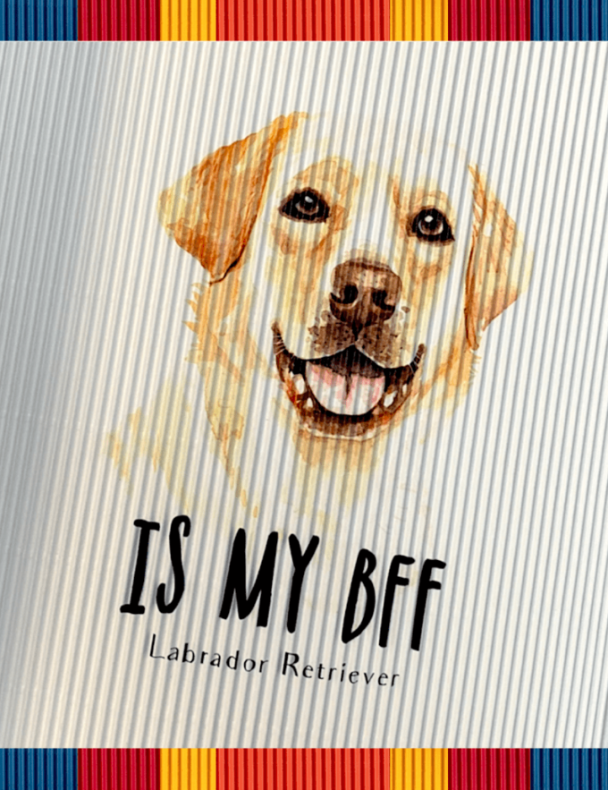 rollsy_psy_sklep6 Labrador