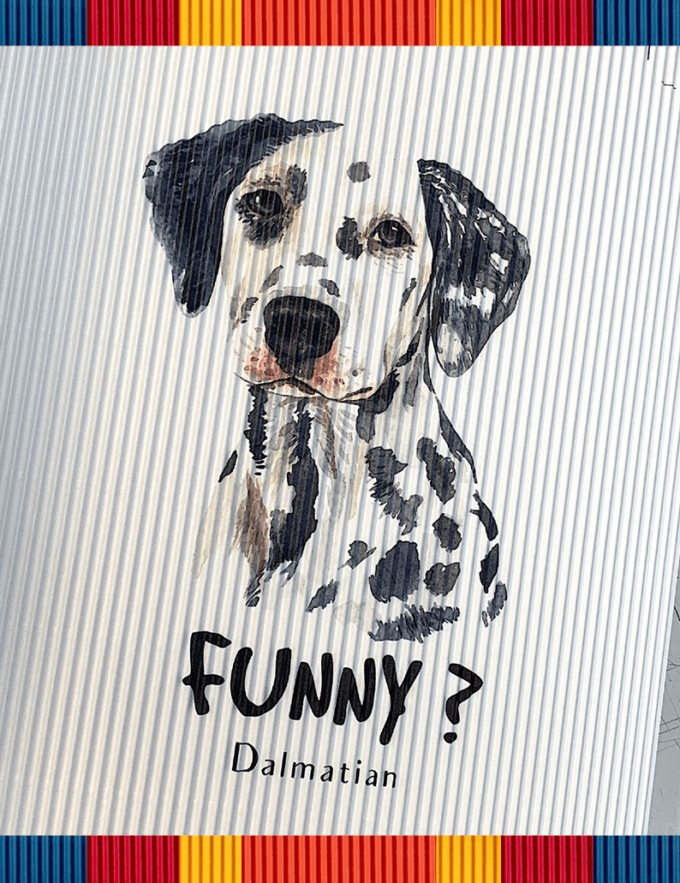 rollsy_psy_sklep9 dalmatian